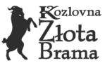 muzyka bez zaiks w Złotej Bramie Kozlovna